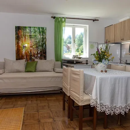 Apartman Apartment With Heated Jacuzzi Brod na Kupi